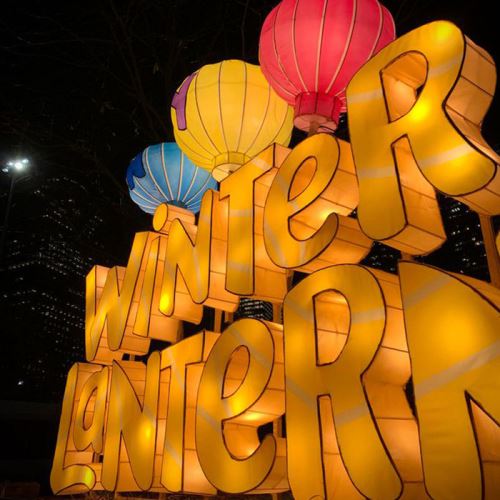 Winter Land Китайский Lanter Show для экспонатов